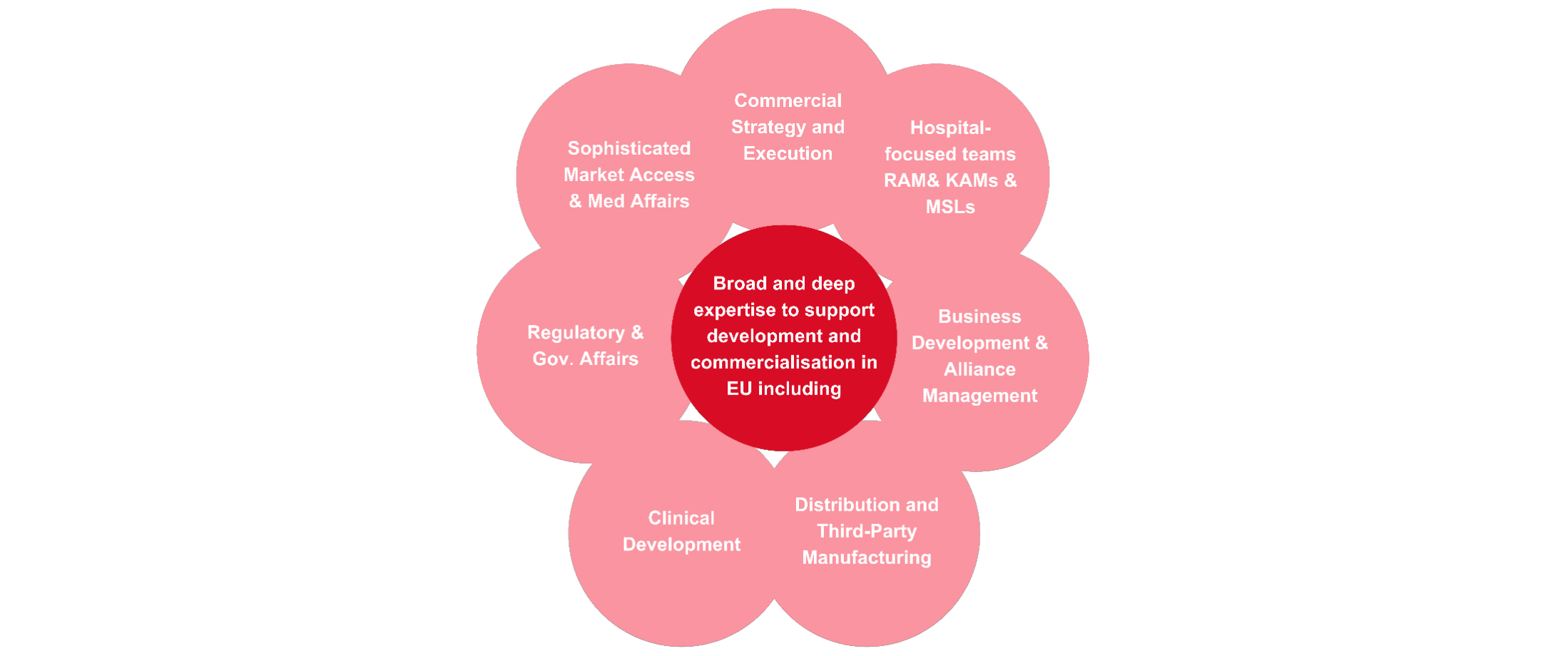 Broad and deep expertise to support development and commercialistion in EU including: Commercial Strategy and Execution; Hospital-focused teams RAMs & KAMs & MSLs; Business Development & Alliance Management; Distribution and Third-Party Manufacturing; Clinical Development; Regulatory & Gov. Affairs; Sophisticated Market Access & Med Affairs.